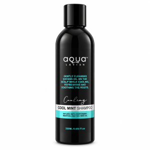 Aq Cool Mint Shp 250ml
